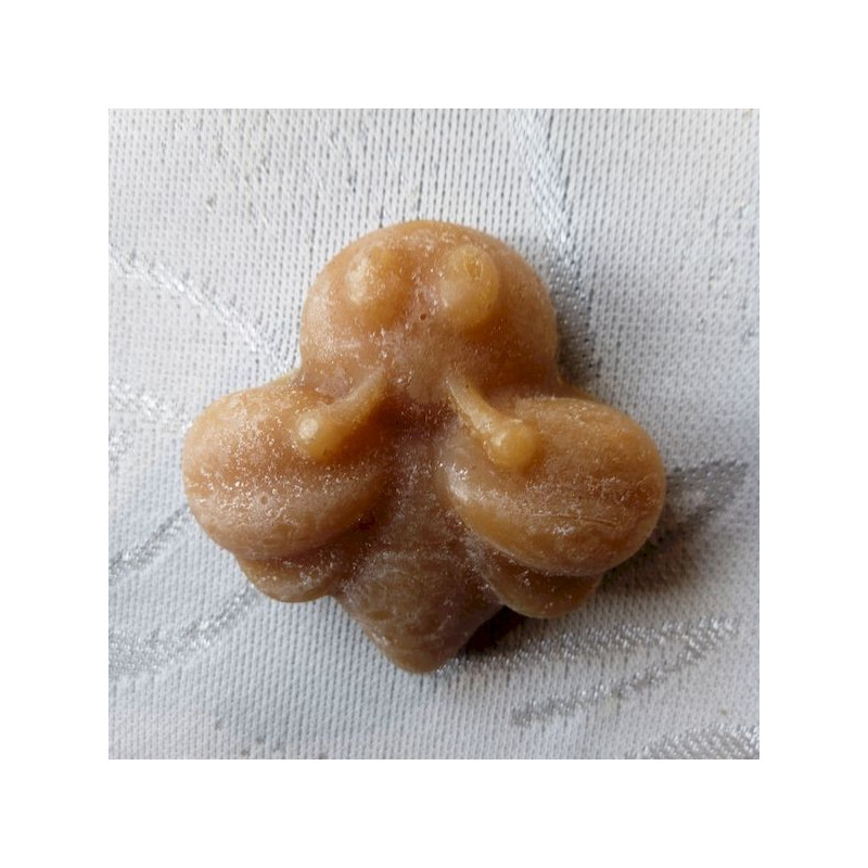 Vosková včielka 1