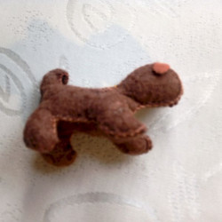 Psík
